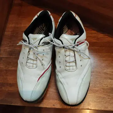 화이트 스파이크 골프화 자우어 스테이지 BS