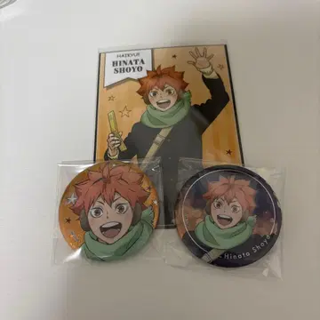 하이큐 요코하마 코스모 월드