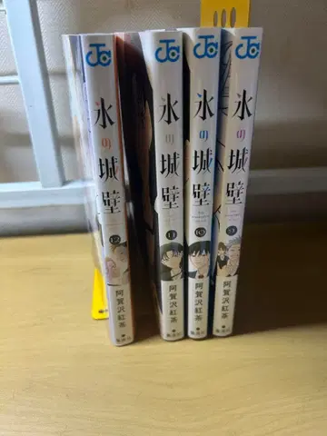 얼음 성벽 9~12권 세트