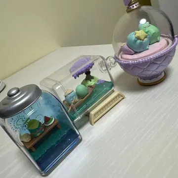 스밋코구라시 테라리움