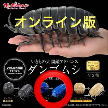 이리도단 밴딩 중 페인팅판 온라인판 생물대도감 어드밴스