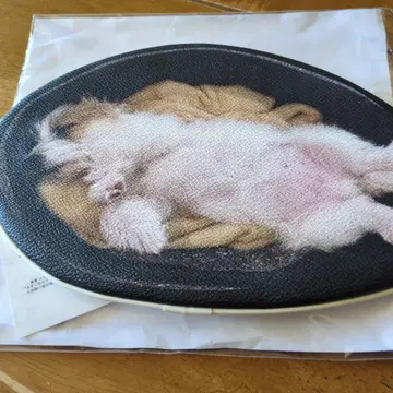 강아지 잠자는 모습 프린트 파우치