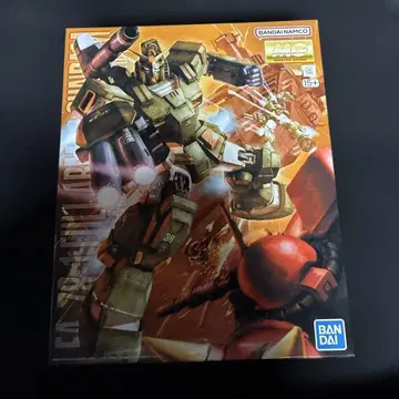 MG 풀 아머 건담 MSV MG 1/100 새상품