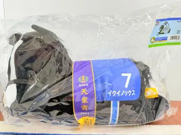 다이토 복권 A상 이퀴녹스 천황상 경마