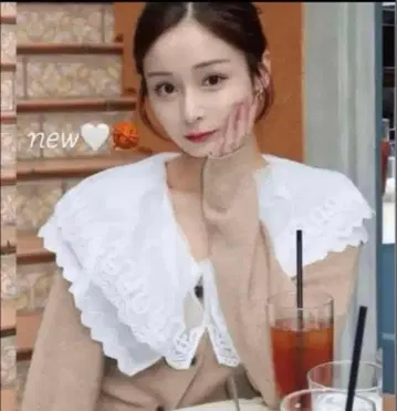 완판템 스나이델 레이스 칼라 니트 풀오버 프릴 머큐리 듀오