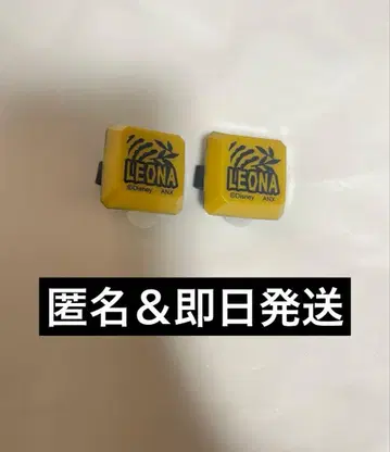 트위스테 페스 반지 라이트 레오나