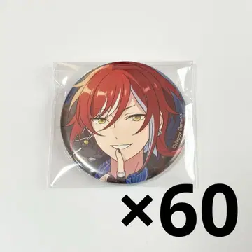 사카사키 나츠메 콜렉션 캔뱃지 60개