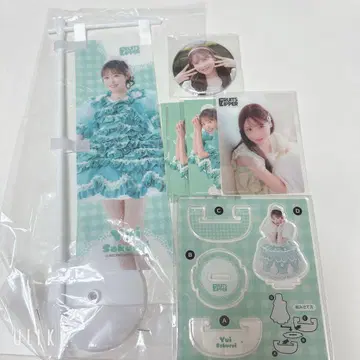 사쿠라이 유이 스키 복권 묶음 판매