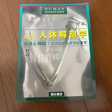 HUMAN ANATOMY 컬러 인체 해부학