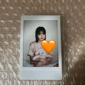 진세이 스즈카 폴라로이드