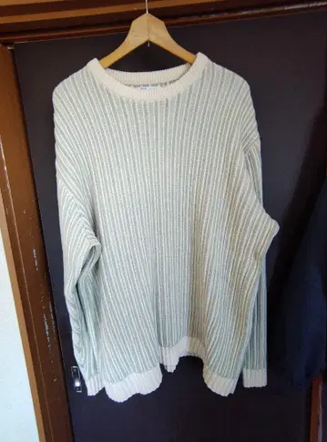 ZARA 연한 녹색과 크림색 스웨터