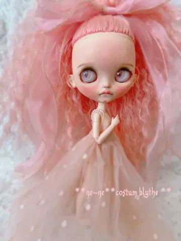 커스텀 브라이스 블렌다즈 엑스트라 오디너리 데이