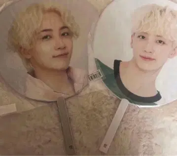 SEVENTEEN 정한 부채 세트 트레이딩 카드