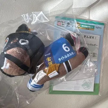 다이토 복권 타이틀 홀더 C상