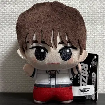 RIIZE Fly Up SD 인형 원빈