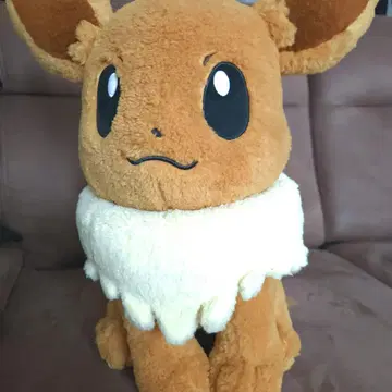 포켓몬 센터 한정판 클래식 보아 봉제 인형 이브이