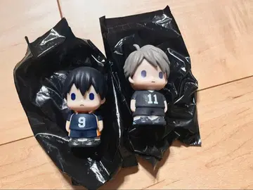 하이큐!! 파페마스 카게야마 토비오 미야 오사무