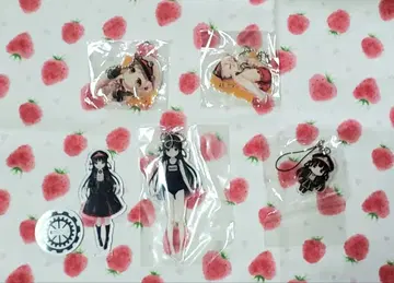 마이테츠 하치로쿠 레이나 아크릴 키링 & 스탠드 5개 세트