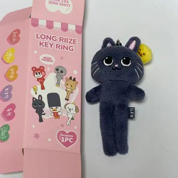 RIIZE 원빈 토냥독 발길이