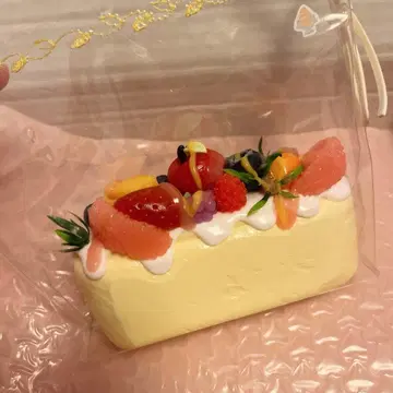 스퀴즈 L 사이즈 케이크