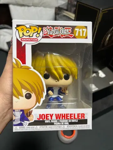 유희왕! 펀코팝! 조이 휠러