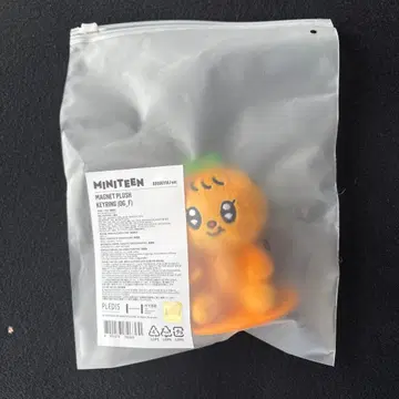 SEVENTEEN 미니틴 승관 봉제 인형