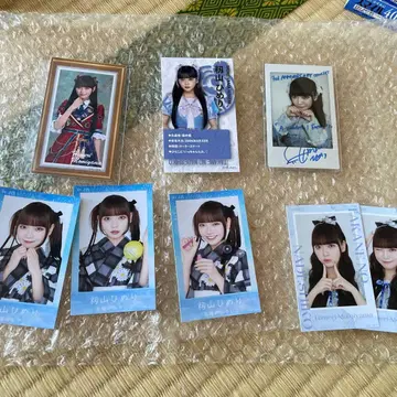 모미야마 히메리 (타카네노 나데시코)