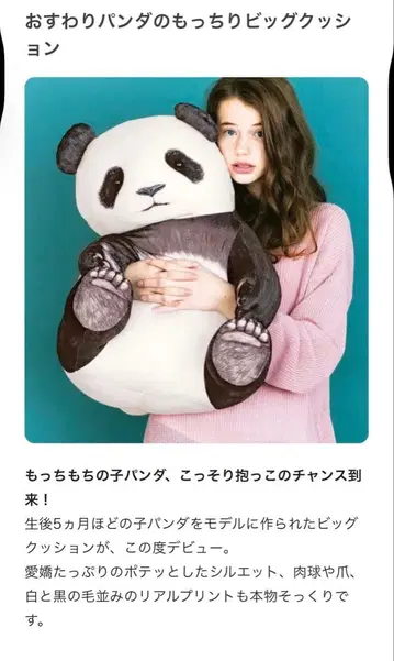 펠리시모 앉은 팬더의 쫀득쫀득 빅 쿠션 YOU+MORE!