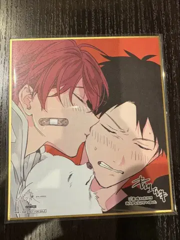 기븐전 ENCORE 특전 색지 리츠카&마후유