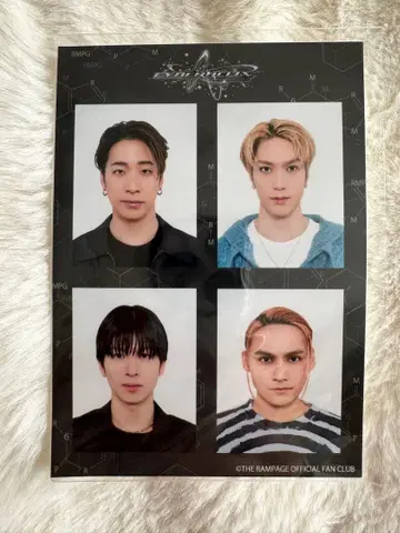 'CyberHelix' ID PHOTO