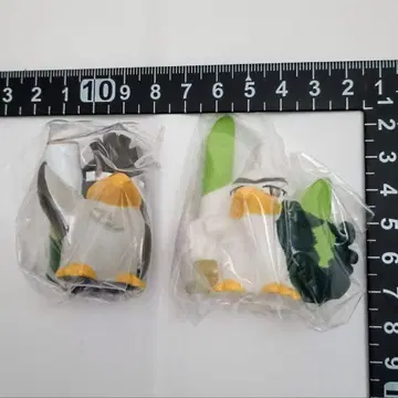 파오리(갈라르의 모습) 네이티오 포켓몬 키즈