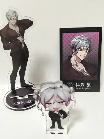 휴먼버그 대학 ~센고쿠 카오루 아크릴 스탠드와 카드 세트~