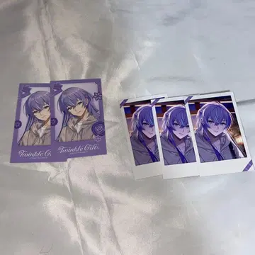 별을 인도하는 쇼 윈터 데이트