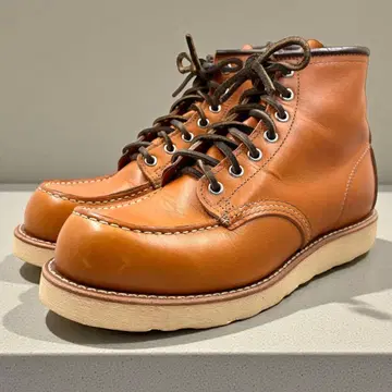 컨디션 최상 레드윙 아이리쉬 세터 245 개택 복각 9875