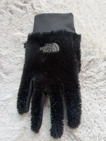 THE NORTH FACE 블랙 장갑 L 사이즈 오른손만