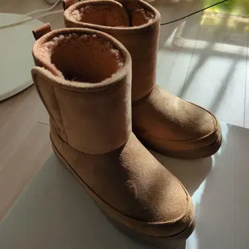 PIPING HOT 어그 부츠 베이지