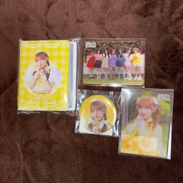 FRUITS ZIPPER 하야세 노엘 폴라로이드 파일 캔뱃지 스키복권