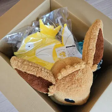 포켓몬 피카피카 박스 2026 금빛 잉어킹 이브이