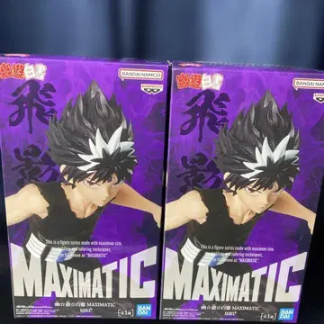 유유백서 MAXIMATIC HIEI 세트
