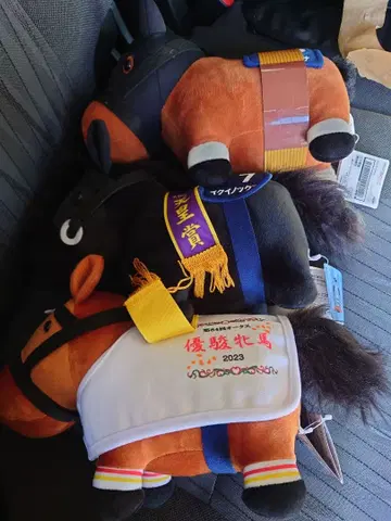 서러브레드 컬렉션 gb와 팬퍼레