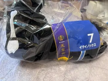 다이토 복권 A상 이퀴녹스 천황상 경마