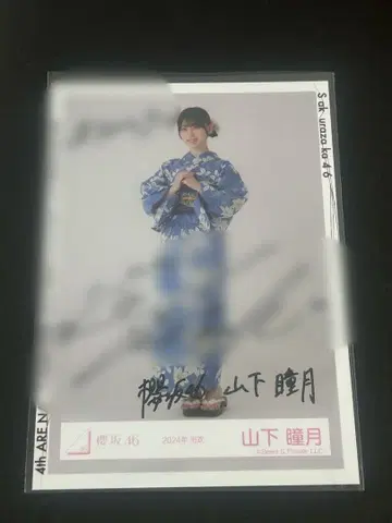 사쿠라자카46 야마시타 시즈키 2024년 유카타 친필 사인 브로마이드