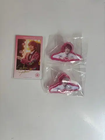 에이스테 사쿠마 사쿠야 (요코타 류기)