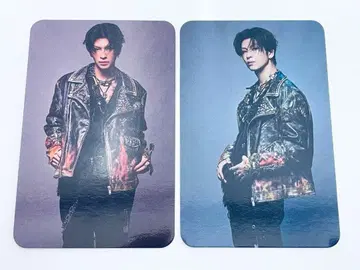 하세가와 신 트레이딩 카드 세트