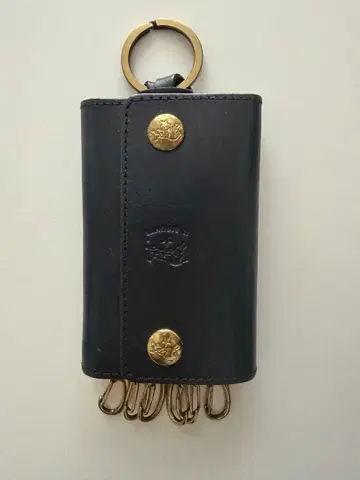 일비종떼 키케이스