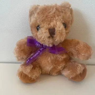 봉제 인형 브라운 곰 곰