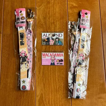 SPY x family 넥스트랩과 마그넷