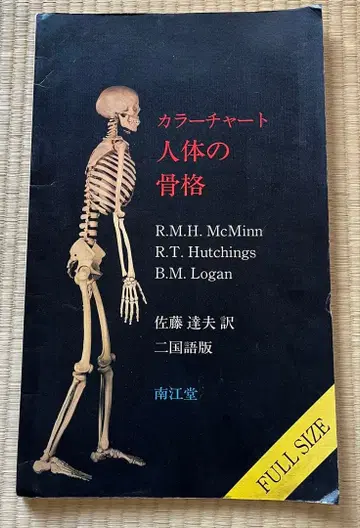 컬러 차트 인체 골격 풀 사이즈 사토 타츠오 역 남강당