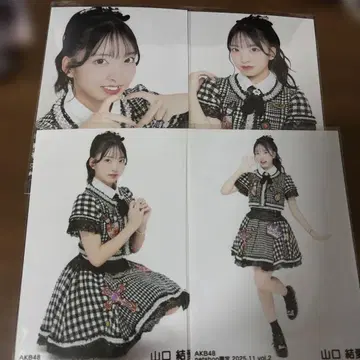 AKB48 야마구치 유아 인터넷 한정판 랜덤 브로마이드 4장 세트