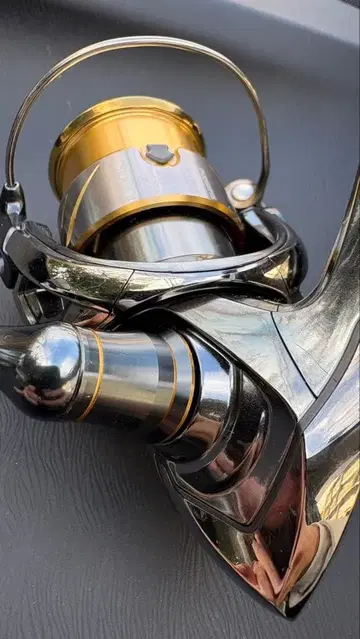 14 스텔라 1000 PGS